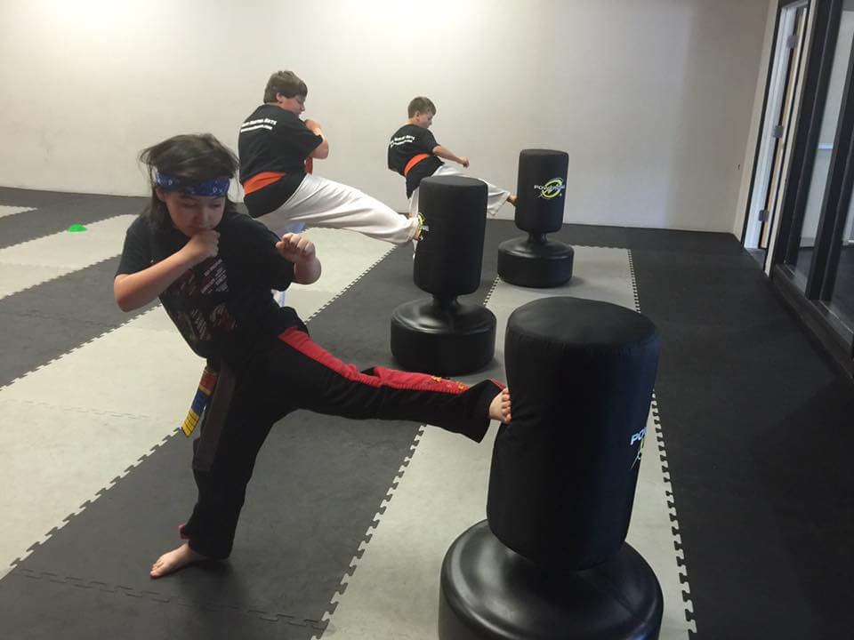 Teen Martial Arts at Elite Martial Arts Hanover